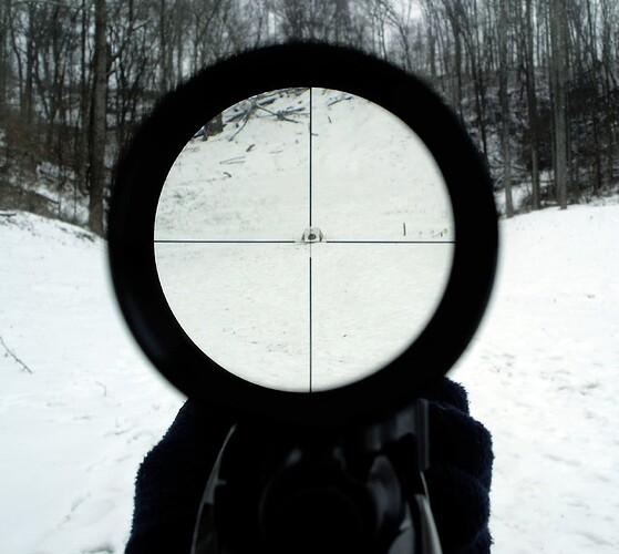 Telescopic sight pd