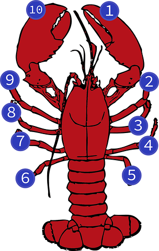 lobster-journey