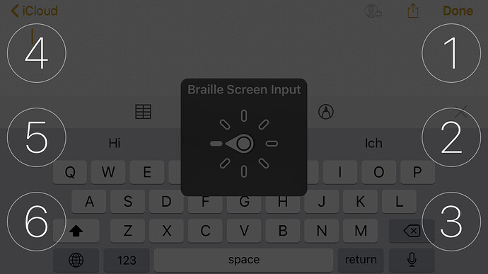 iPhoneBraille