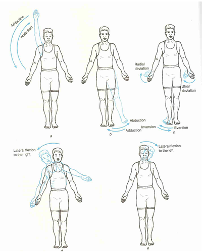 Movement_in_the_frontal_plane
