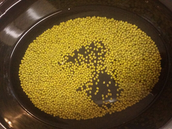 mung-bean-soup