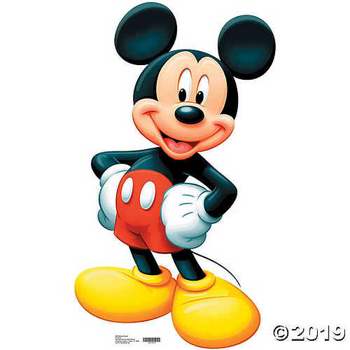 image_search_1573488742927