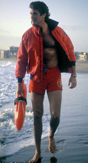 587lifeguardhass