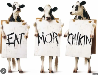 298nobeefcows