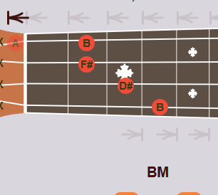 ukulele-b.png