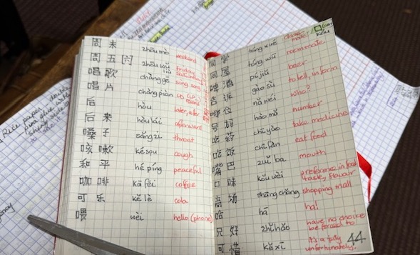 5mm-grid-books