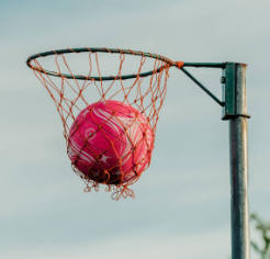 219netball
